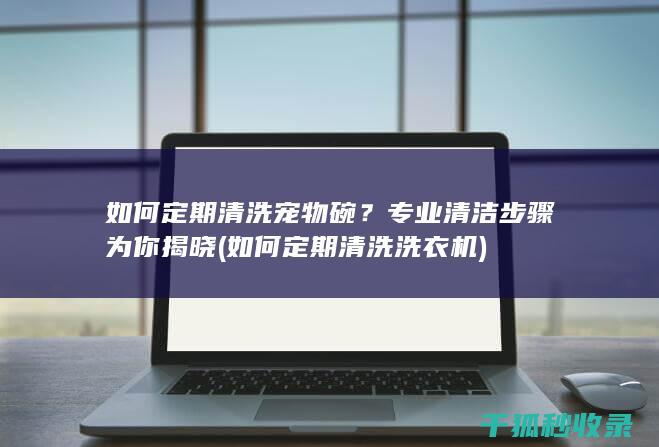 如何定期清洗宠物碗？专业清洁步骤为你揭晓 (如何定期清洗洗衣机)