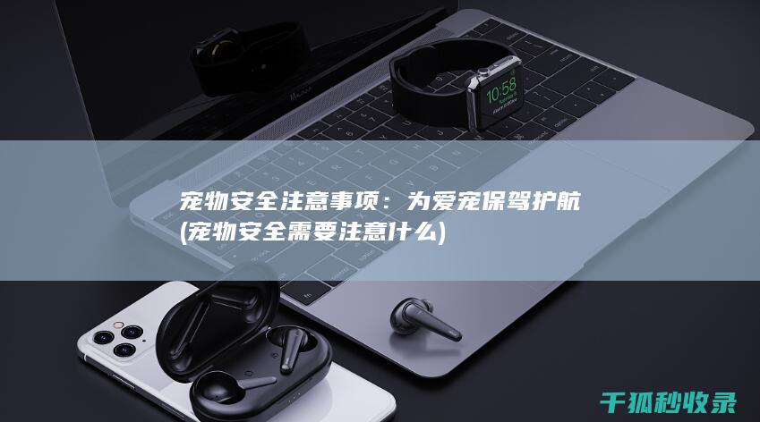 宠物安全注意事项：为爱宠保驾护航 (宠物安全需要注意什么)