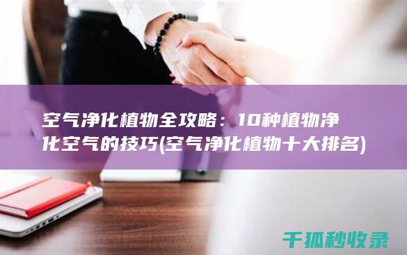 空气净化植物全攻略：10种植物净化空气的技巧 (空气净化植物十大排名)