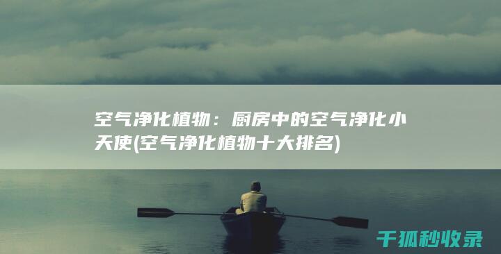 空气净化植物：厨房中的空气净化小天使 (空气净化植物十大排名)