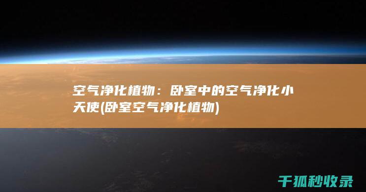 空气净化植物：卧室中的空气净化小天使 (卧室空气净化植物)