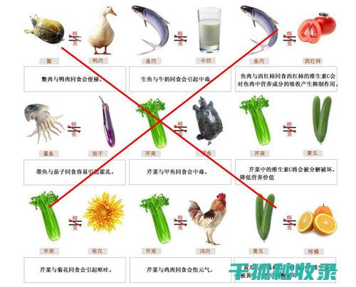 食物相克的那些事：了解后不再盲目搭配 (食物相克那是什么电影)